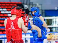 九游在线登录-鹿岛鹿角顽强奋战，成功晋级下一轮的简单介绍